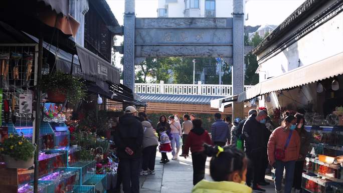 4k春节逛花鸟市场