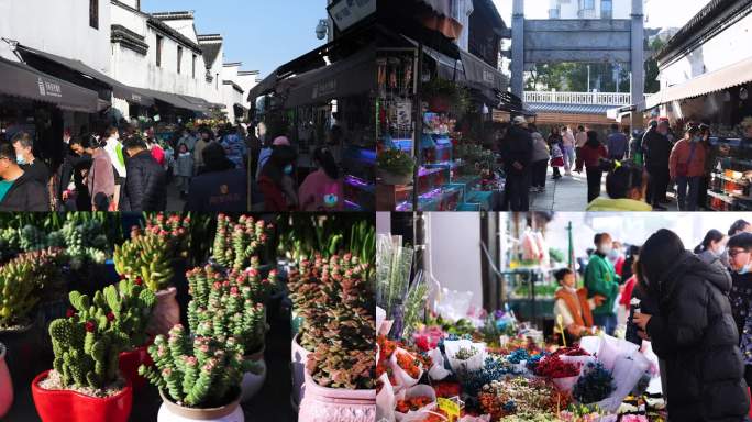 4k春节逛花鸟市场