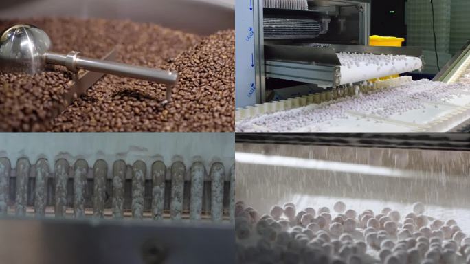 【4K素材】咖啡豆加工生产工厂工艺流程