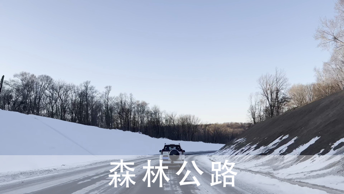 森林公路