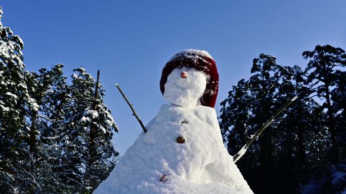 冰雪世界唯美雪景雪地雪娃娃堆雪人