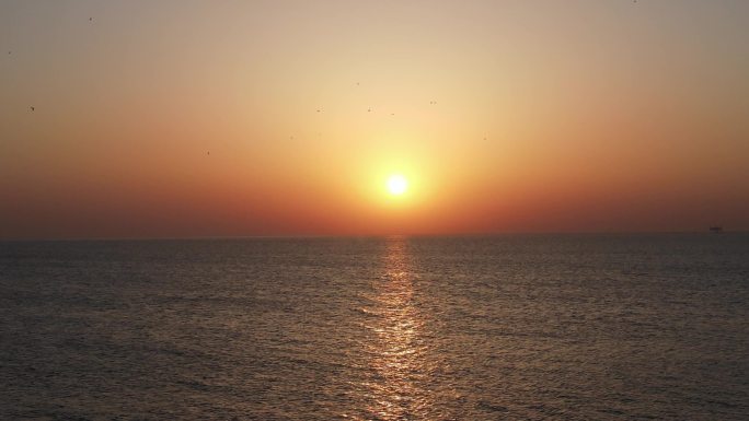 海边日出日落海鸥航拍2k30帧