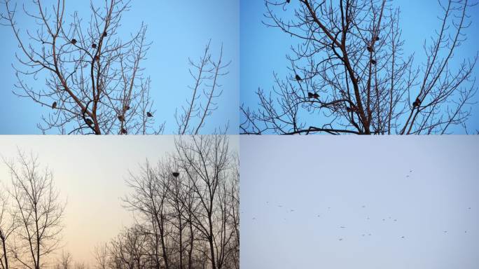 冬日萧条环境空境素材