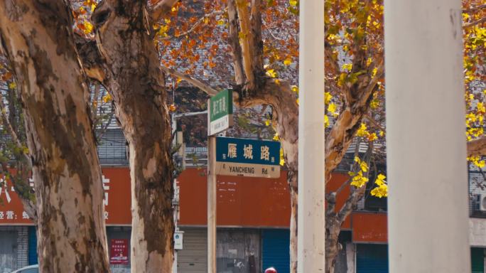 金黄的树叶下立着路牌 路标 衡阳城市街道