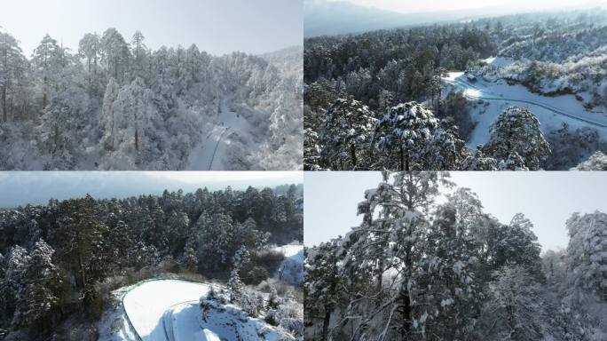 大熊猫国家森林公园龙苍沟原始森林雪景航拍