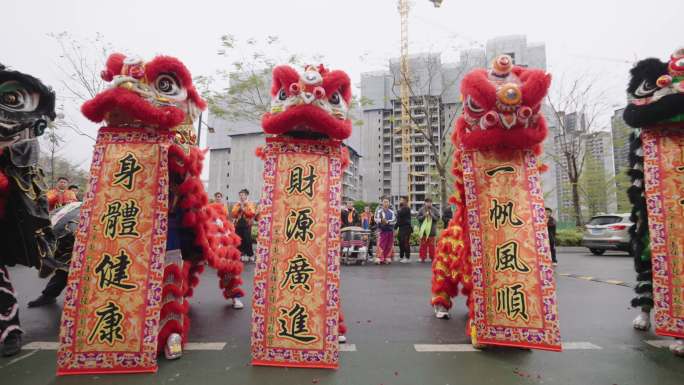 中国传统文化喜庆的舞狮