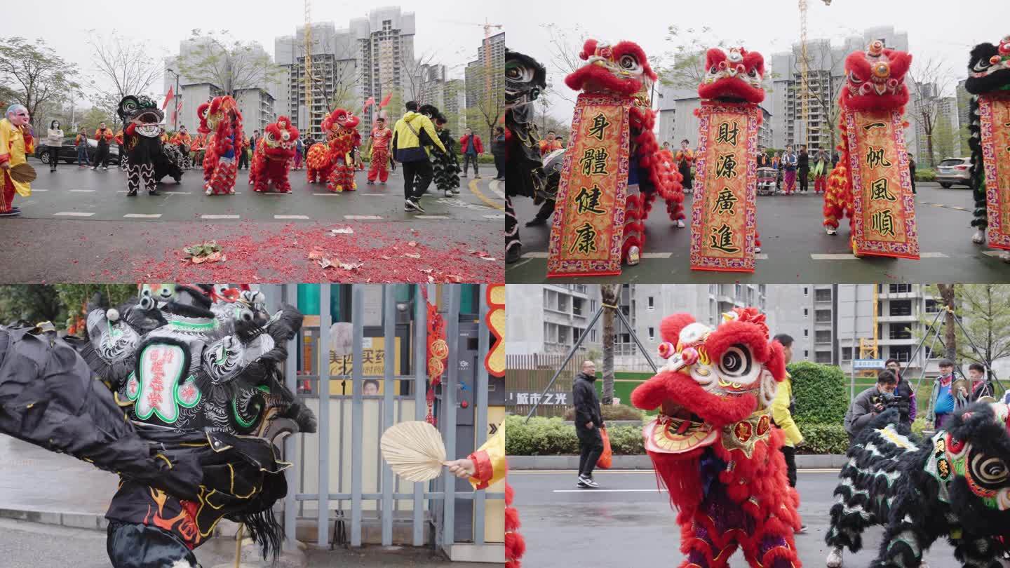 中国传统文化喜庆的舞狮