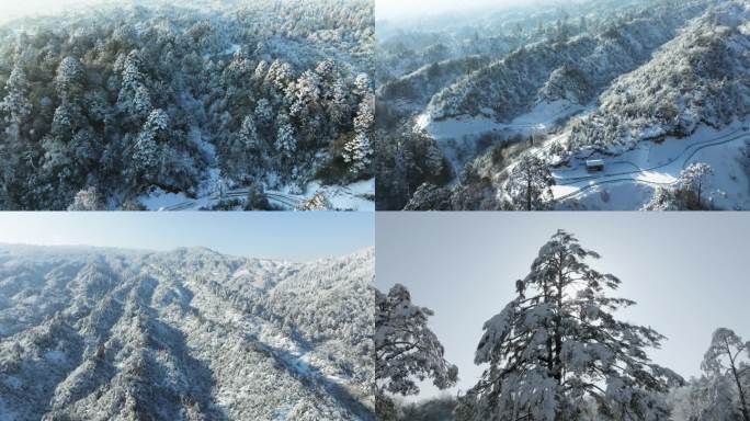 大熊猫国家森林公园龙苍沟原始森林雪景航拍