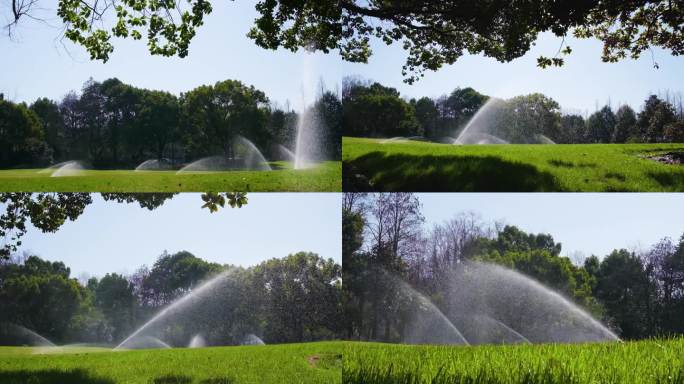 城市草坪喷洒水降温抗旱升格视频