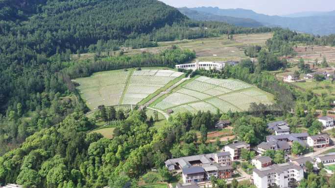 川陕革命根据地烈士陵园