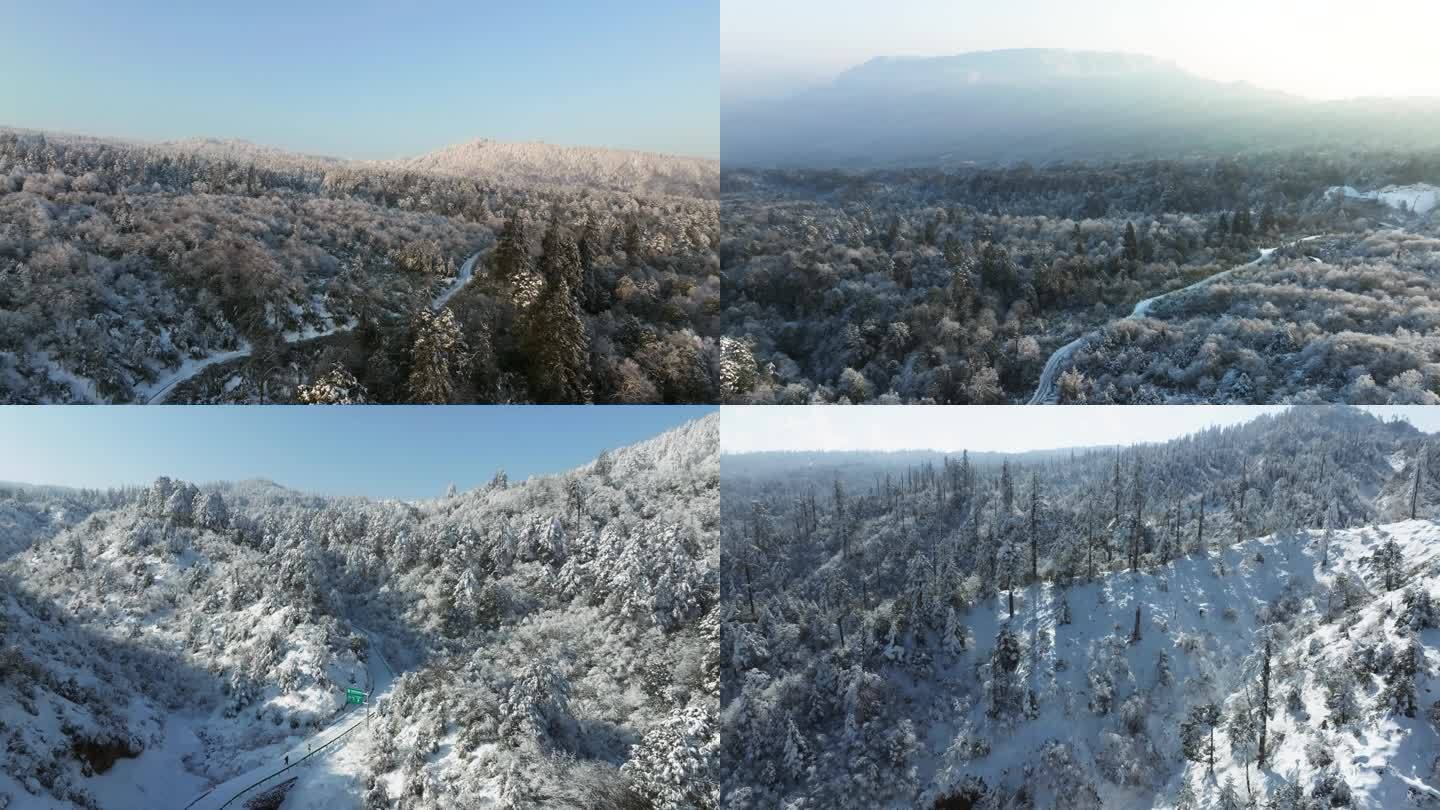 大熊猫国家森林公园龙苍沟原始森林雪景航拍