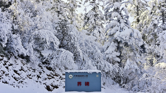 龙苍沟大熊猫国家公园唯美壮观雪景