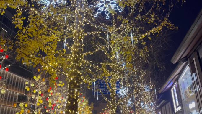 城市过年气氛夜景街头树木灯光装饰下摇