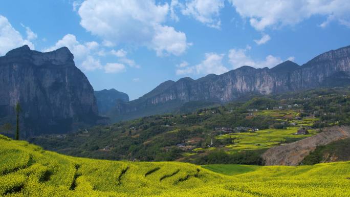 恩施屯堡乡大峡谷朝东岩绝壁油菜花海