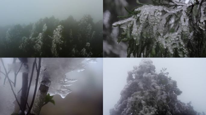 寒冷冬天寒风树木结冰