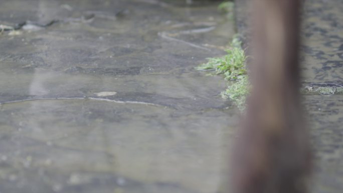 益阳安化 茶马古道