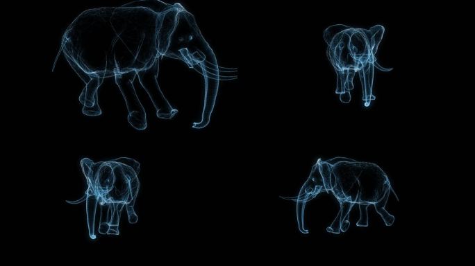 透视全息大象奔跑动画通道素材