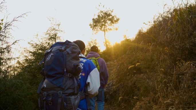 团队爬山逆光行走登山背影穿过丛林徒步旅行