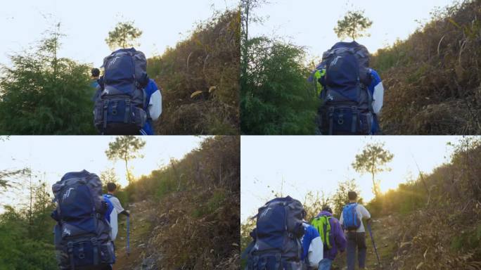 团队爬山逆光行走登山背影穿过丛林徒步旅行