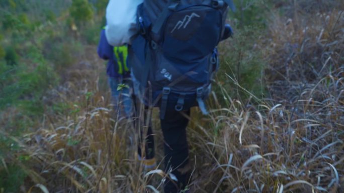 背包客穿过草丛徒步旅行户外探险团队前进