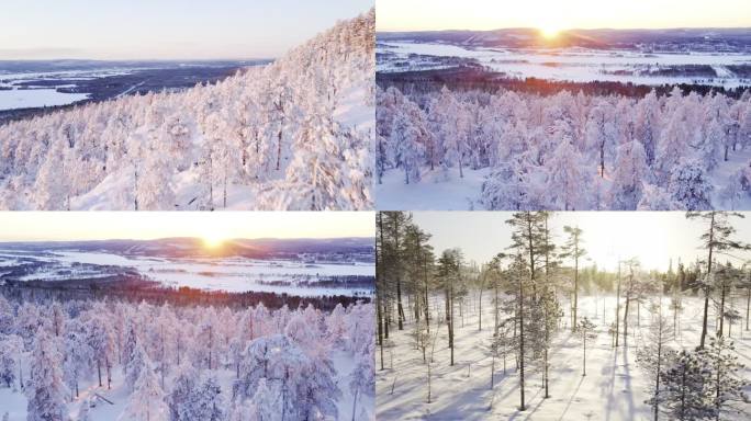 冬日暖阳 阳光撒向雪地 大雪过后的阳光