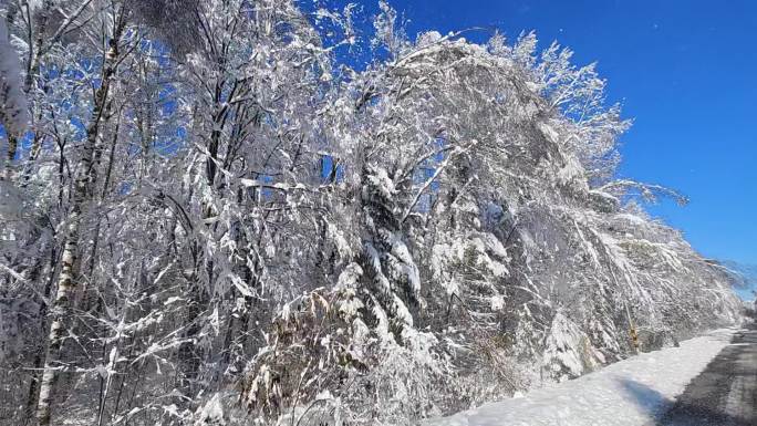 长白山第一场雪