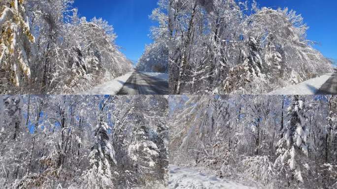 长白山第一场雪