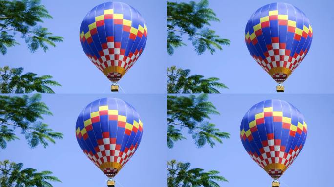 西双版纳热带植物园-热气球7