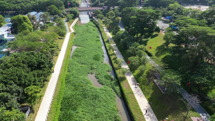 深圳西丽大学城航拍，大沙河