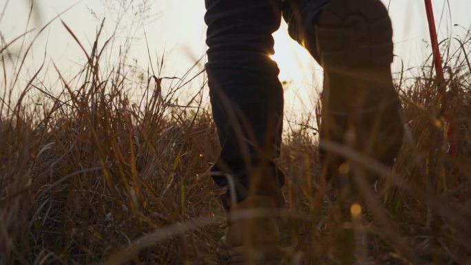 丛林探秘穿过草丛登山脚步逆光行走徒步旅行