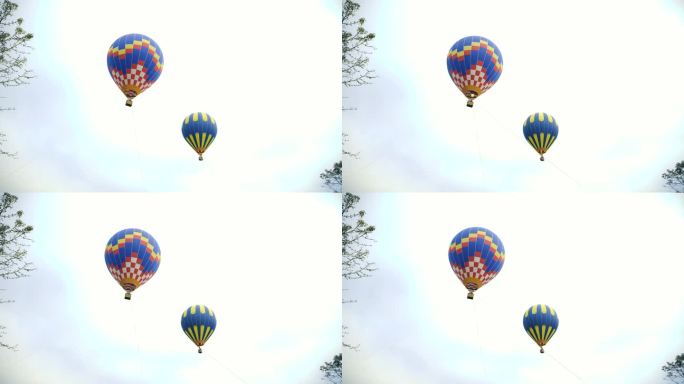 西双版纳热带植物园-热气球2