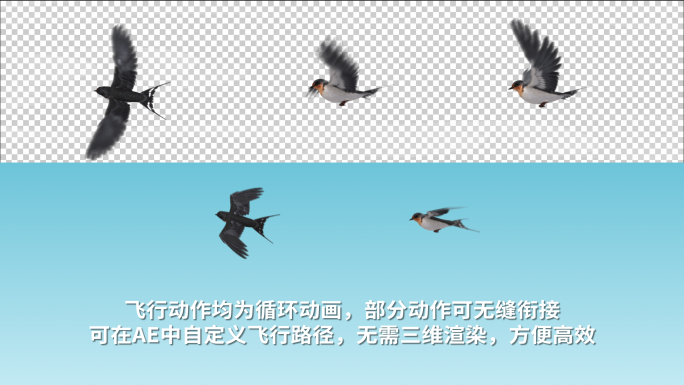 4K燕子雨燕飞翔动画AE模版