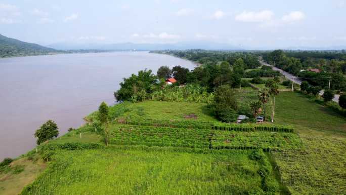 湄公河 沿岸稻田 老挝跨江大桥 航拍