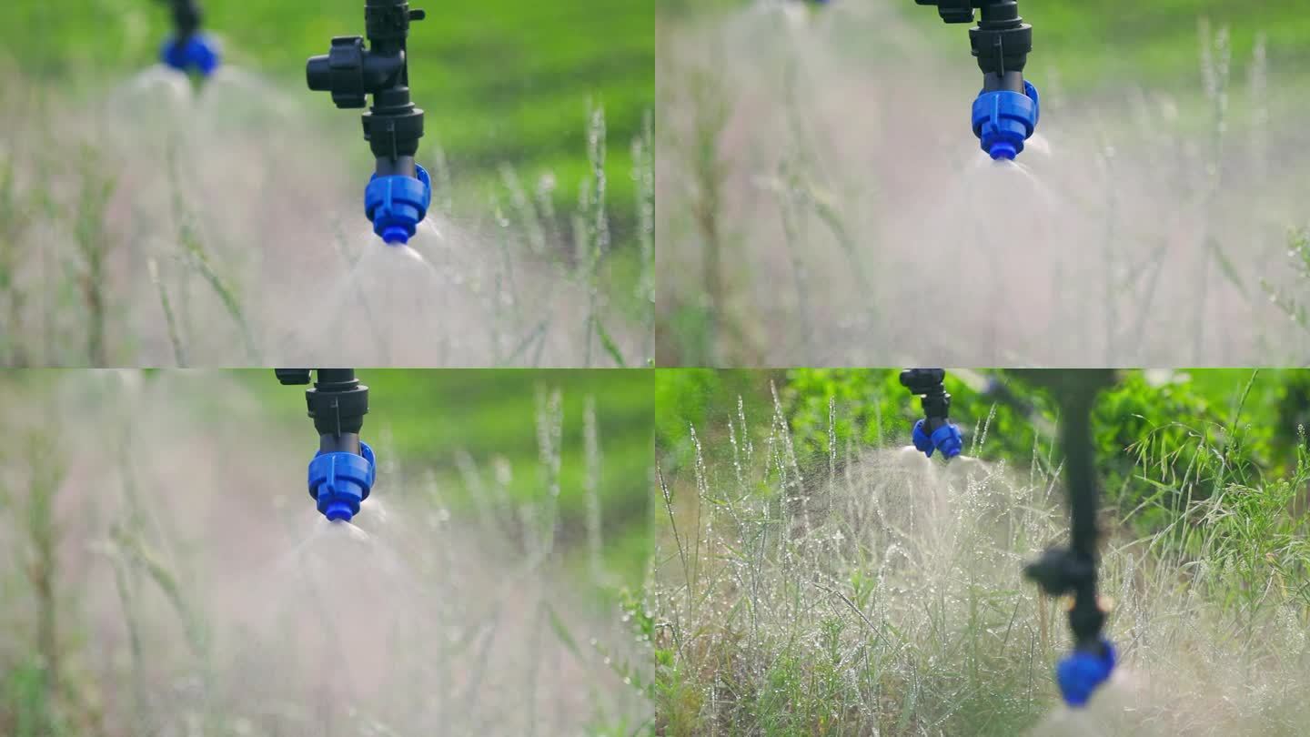 50帧率高清无人机草地喷头喷水升格慢镜头