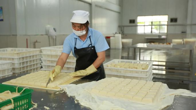 现代豆腐香干生产制作
