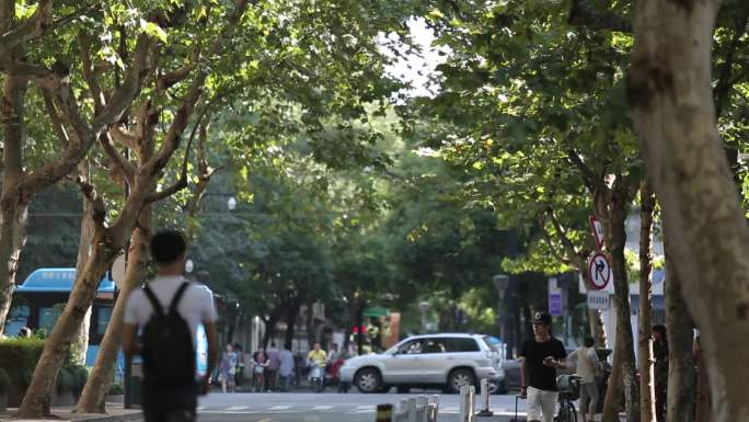 杭州岳王路老街 车流 市井生活