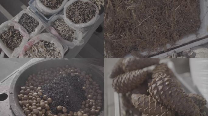 菌菇松子东北特产山货