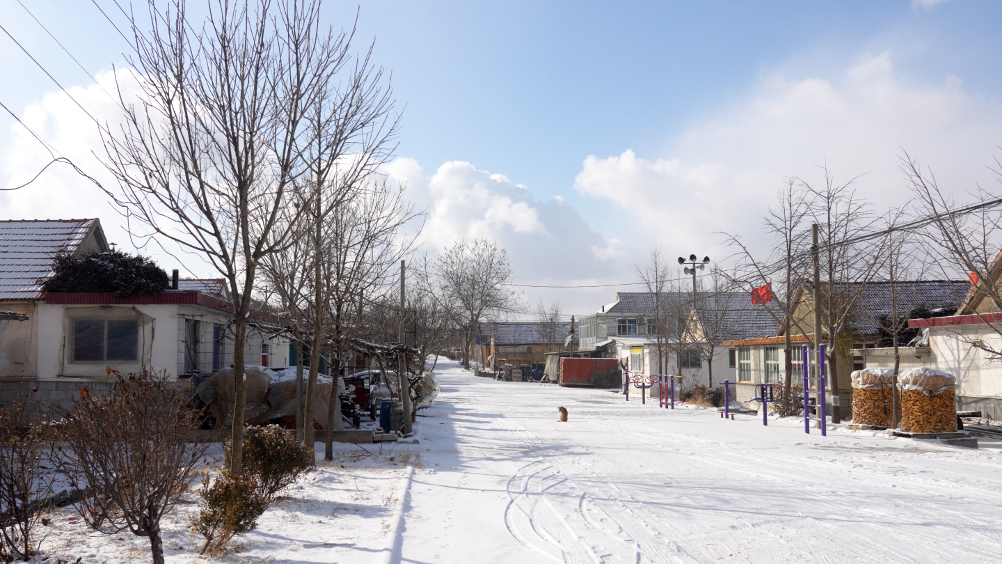 下雪的村庄，北方农村