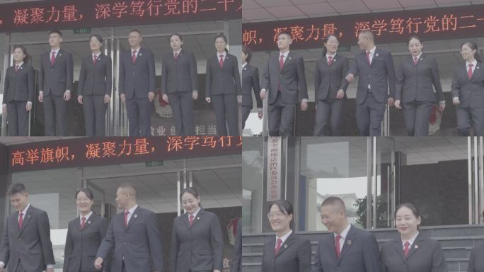【4K灰度】司法税务政府法院工作人员