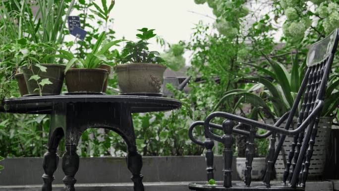 雨中花园室外空镜头