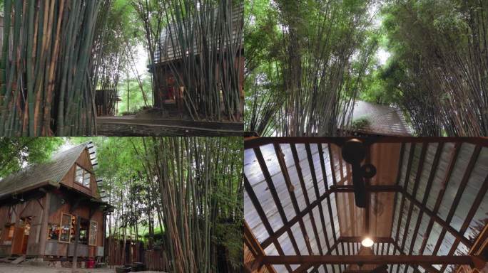 4K实拍竹林中的小木屋