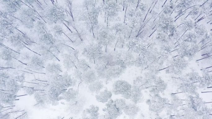 俯瞰雪山 霜降 白茫茫一片雪地 银装素裹