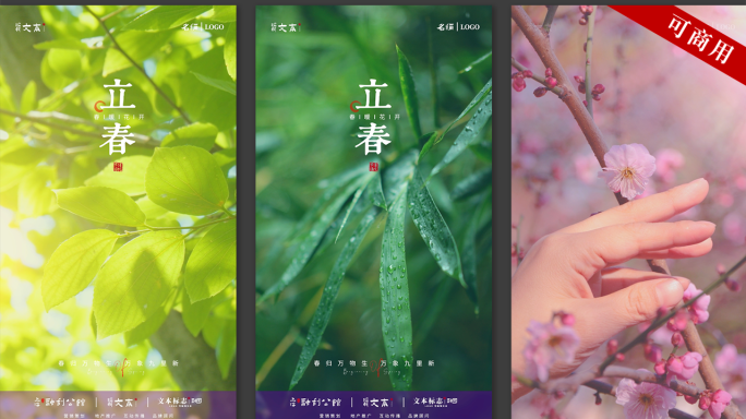 【原创拍摄可商用】立春花开节气 AE模板
