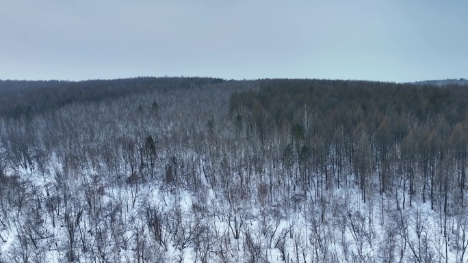 雪乡