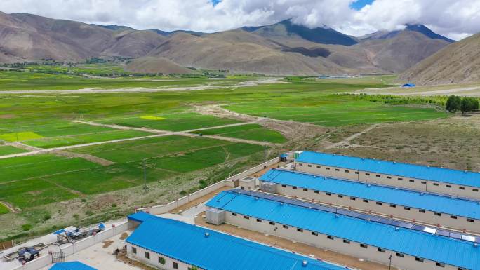西藏养殖建设 西藏养殖脱贫 养殖脱贫