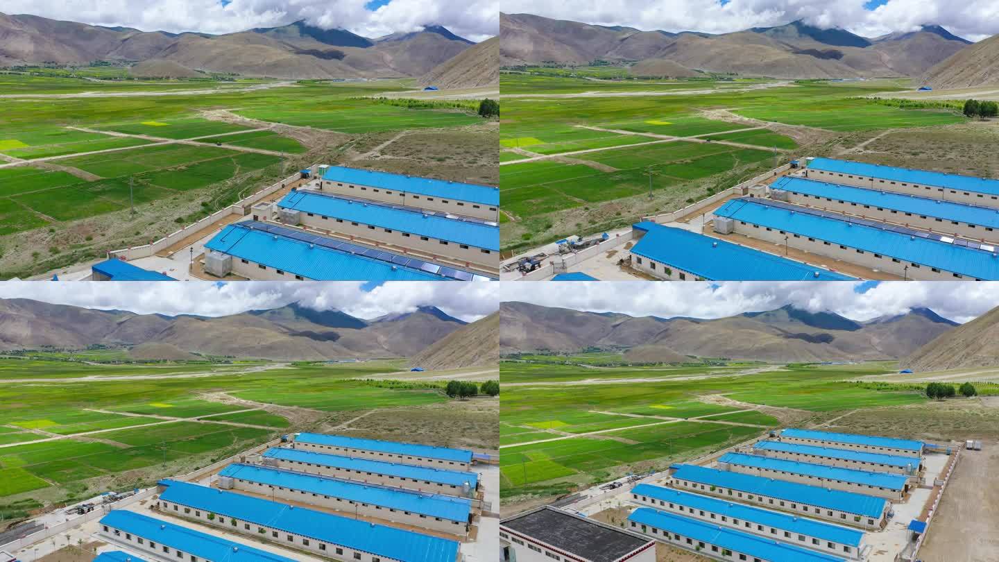 西藏养殖建设 西藏养殖脱贫 养殖脱贫
