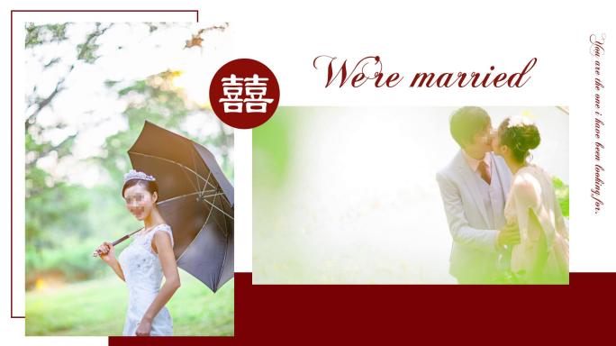 《欢喜》婚礼爱情相册AE模板