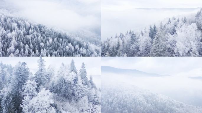 雾凇 春雪 白雪茫茫 大雪覆盖山林 霜降