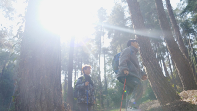 森林探秘团队登山树林光影徒步旅行户外探险