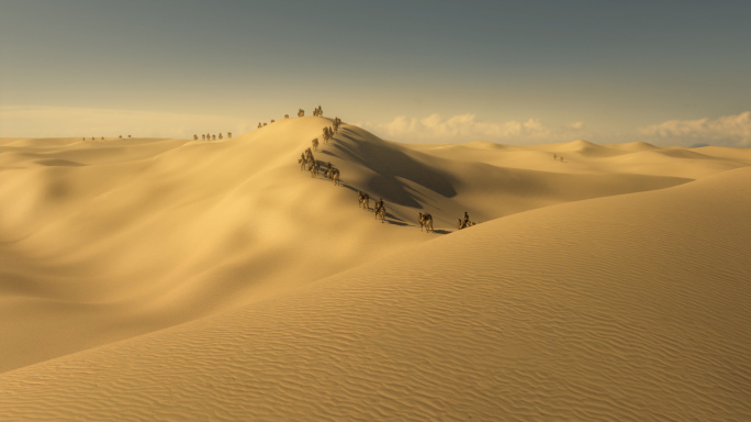 丝绸之路 沙漠骆驼